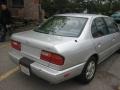 Platinum Metallic - G 20 Sedan Photo No. 13