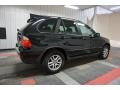 Black Sapphire Metallic - X5 3.0i Photo No. 7