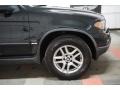 Black Sapphire Metallic - X5 3.0i Photo No. 60