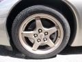 Light Pewter Metallic - Corvette Coupe Photo No. 14