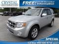 Ingot Silver Metallic 2010 Ford Escape Limited V6