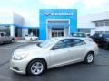 Champagne Silver Metallic - Malibu LS Photo No. 1