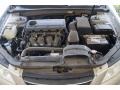 Camel Pearl - Sonata GLS Photo No. 25