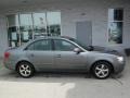 2009 Willow Gray Hyundai Sonata GLS V6  photo #2