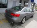 Willow Gray - Sonata GLS V6 Photo No. 8