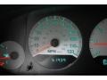 2005 Magnesium Green Pearl Dodge Caravan SXT  photo #37