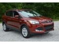 2016 Sunset Metallic Ford Escape SE  photo #1