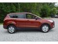 2016 Sunset Metallic Ford Escape SE  photo #2