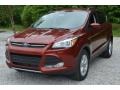 2016 Sunset Metallic Ford Escape SE  photo #8