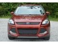 2016 Sunset Metallic Ford Escape SE  photo #9