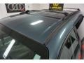 2005 Magnesium Green Pearl Dodge Caravan SXT  photo #86