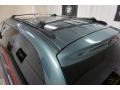 2005 Magnesium Green Pearl Dodge Caravan SXT  photo #88