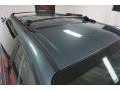 2005 Magnesium Green Pearl Dodge Caravan SXT  photo #92