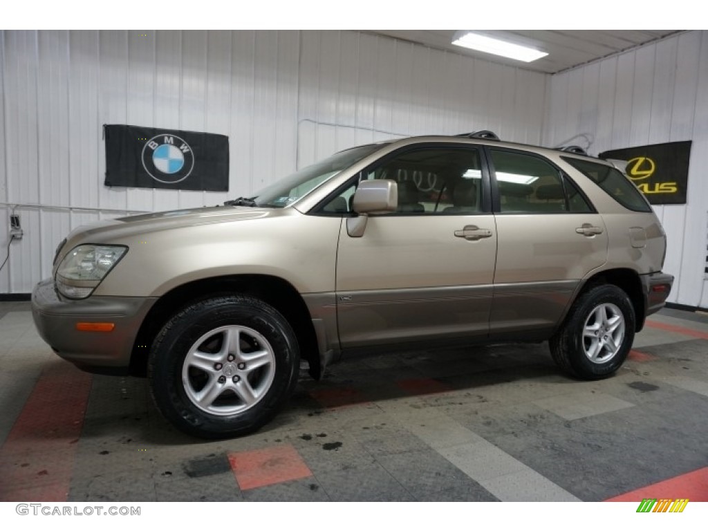2001 RX 300 AWD - Millennium Silver Metallic / Black photo #2
