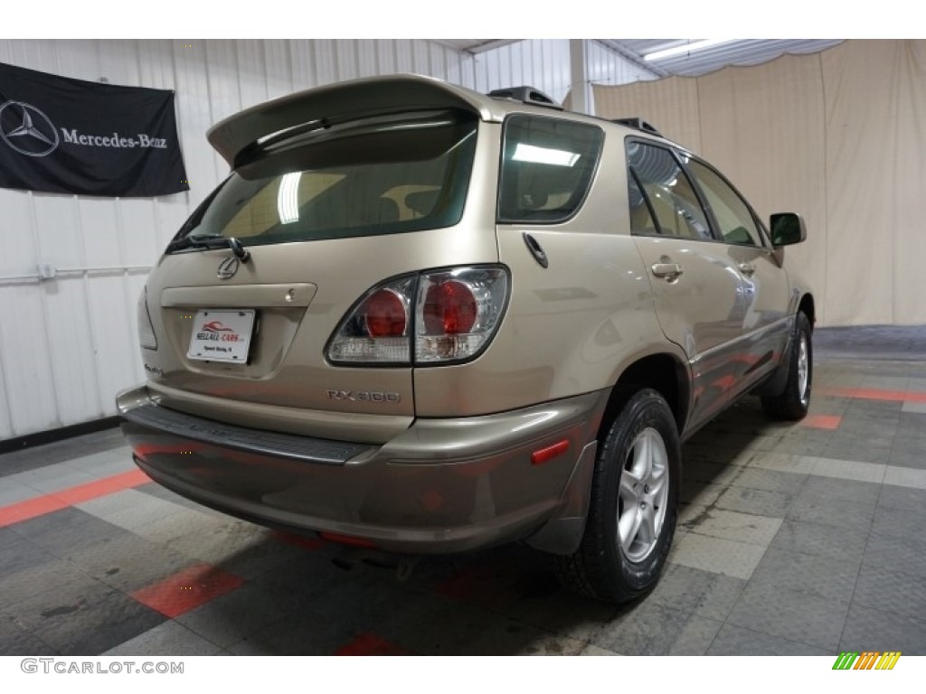 2001 RX 300 AWD - Millennium Silver Metallic / Black photo #8