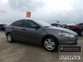 2013 Maximum Steel Metallic Dodge Dart SE  photo #10