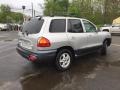 2003 Pewter Hyundai Santa Fe GLS  photo #4