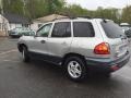 2003 Pewter Hyundai Santa Fe GLS  photo #6