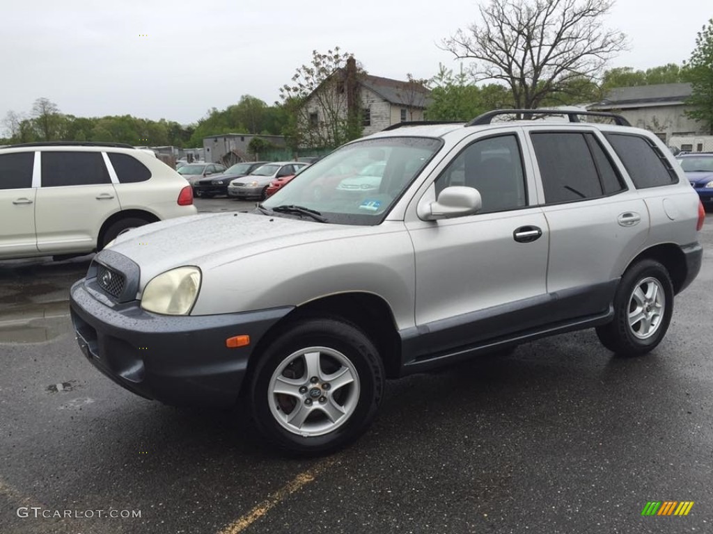 2003 Santa Fe GLS - Pewter / Gray photo #8