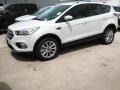 2017 White Platinum Ford Escape Titanium  photo #6