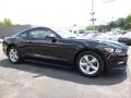 Shadow Black - Mustang V6 Coupe Photo No. 1
