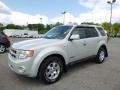 2008 Light Sage Metallic Ford Escape Limited 4WD #113172119