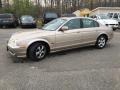 Topaz Metallic - S-Type 3.0 Photo No. 8
