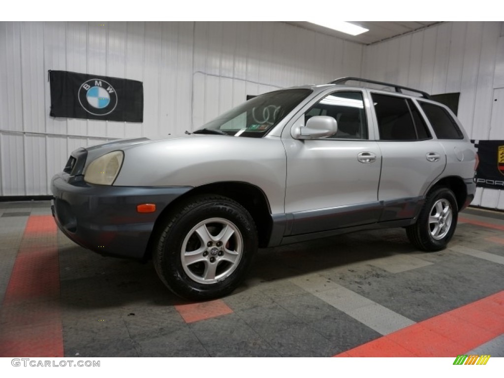 2004 Santa Fe GLS - Pewter / Gray photo #2