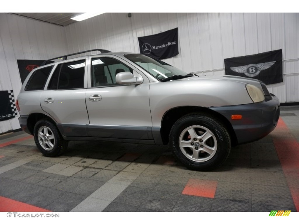 2004 Santa Fe GLS - Pewter / Gray photo #6