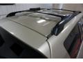 Savannah Metallic - RAV4 4WD Photo No. 84
