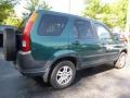 Clover Green Pearl - CR-V EX 4WD Photo No. 3