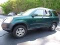 Clover Green Pearl - CR-V EX 4WD Photo No. 8