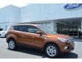 2017 Canyon Ridge Ford Escape SE  photo #1