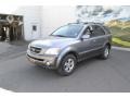 2006 Alpine Gray Kia Sorento EX  photo #5