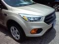 2017 White Gold Ford Escape S  photo #2