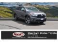 Predawn Gray Mica - Highlander XLE Photo No. 1