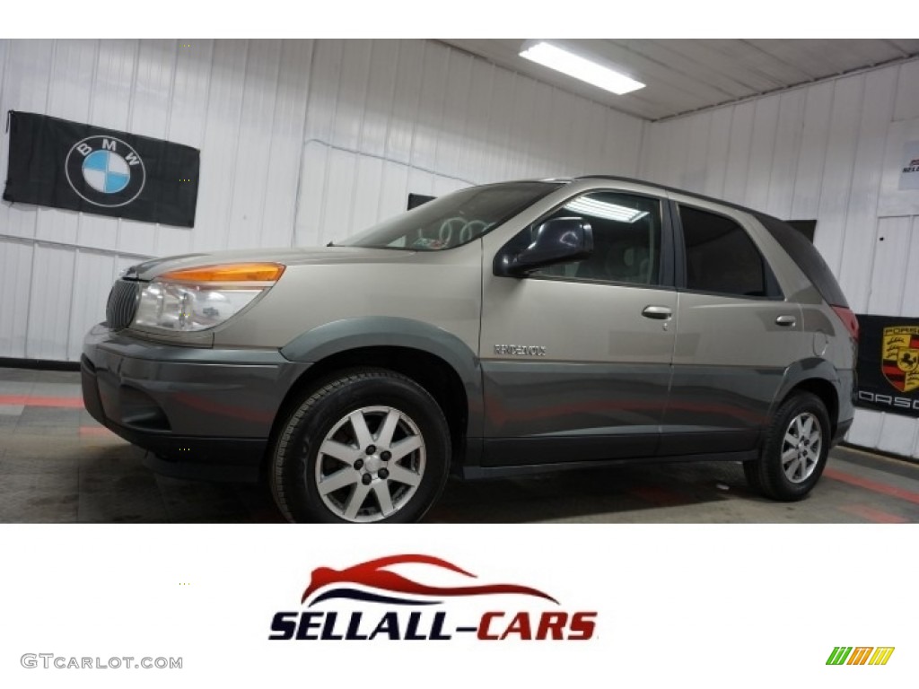 2002 Rendezvous CXL AWD - Light Driftwood / Medium Oak photo #1