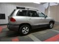 2006 Pewter Hyundai Santa Fe GLS  photo #7