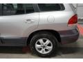 2006 Pewter Hyundai Santa Fe GLS  photo #64