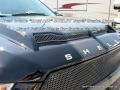2016 Shadow Black Ford F150 Shelby Cobra Edtion SuperCrew 4x4  photo #45