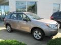 Burnished Bronze Metallic - Forester 2.5i Photo No. 5