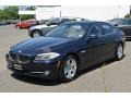 2013 Imperial Blue Metallic BMW 5 Series 528i xDrive Sedan  photo #7