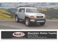 Titanium Metallic - FJ Cruiser 4WD Photo No. 1