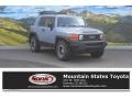 2013 Trail Teams Cement Gray Toyota FJ Cruiser 4WD #113295889