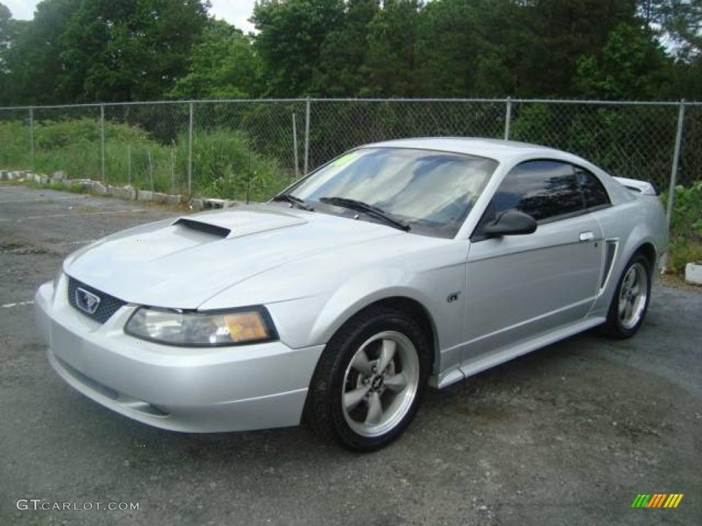 Silver Metallic Ford Mustang