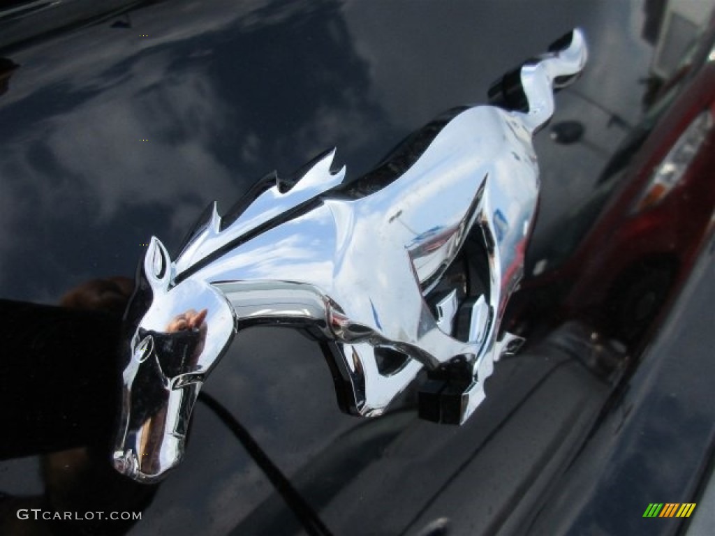 2016 Mustang EcoBoost Coupe - Magnetic Metallic / Ebony photo #5