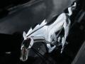 Shadow Black - Mustang EcoBoost Coupe Photo No. 5