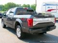 Magnetic - F150 Platinum SuperCrew 4x4 Photo No. 3