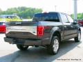 Magnetic - F150 Platinum SuperCrew 4x4 Photo No. 5