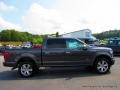 Magnetic - F150 Platinum SuperCrew 4x4 Photo No. 6